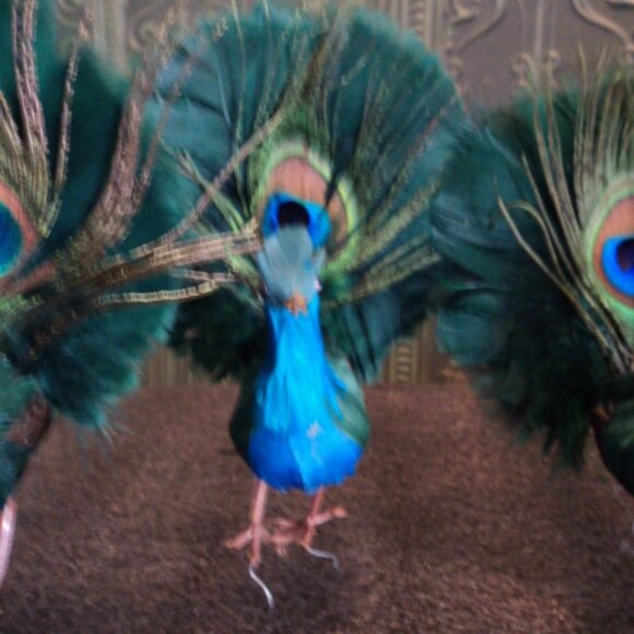 vintage peacock feather bird ornament - Picture 3 of 4